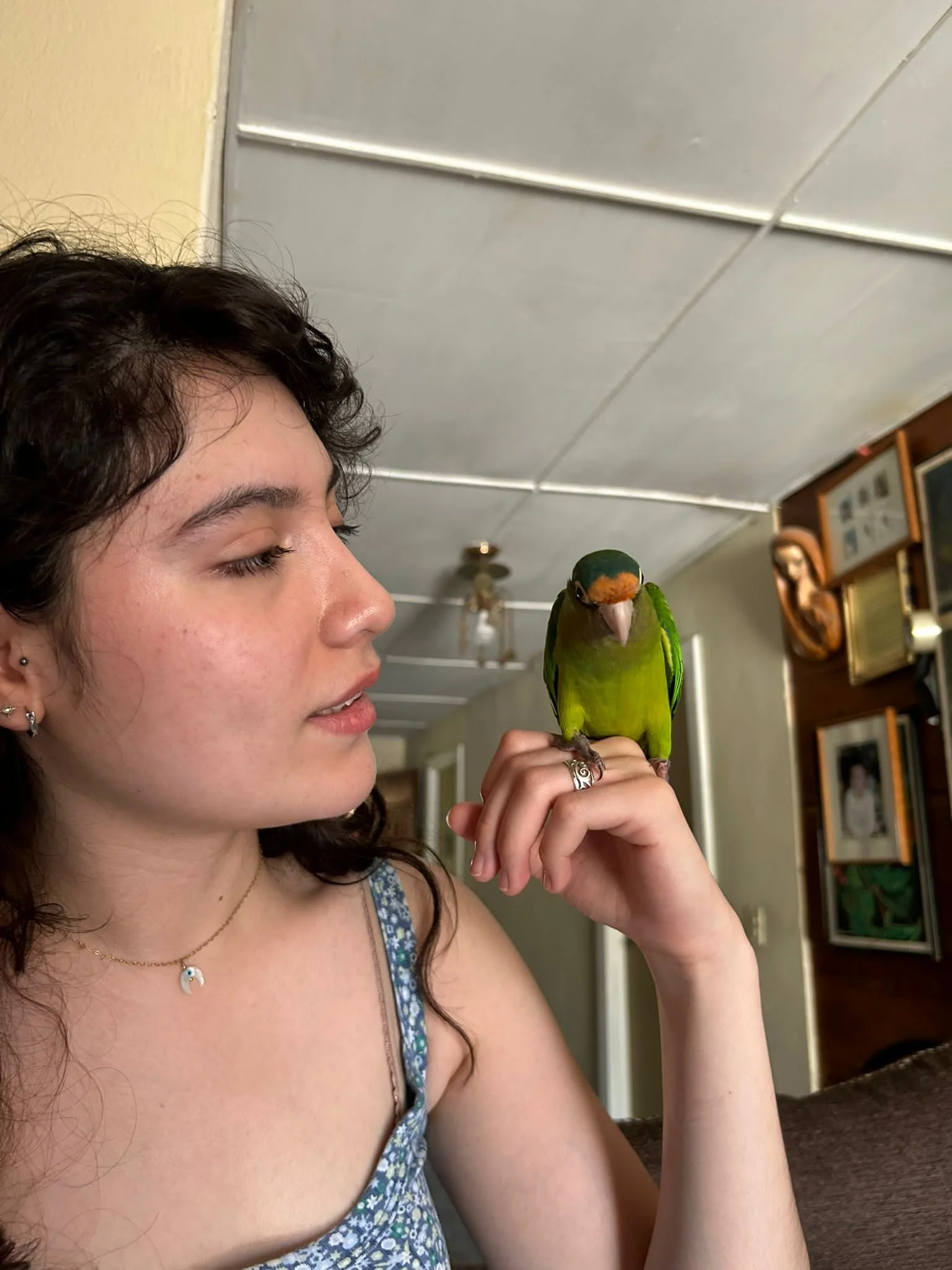 Can You Really Bond With Birds?