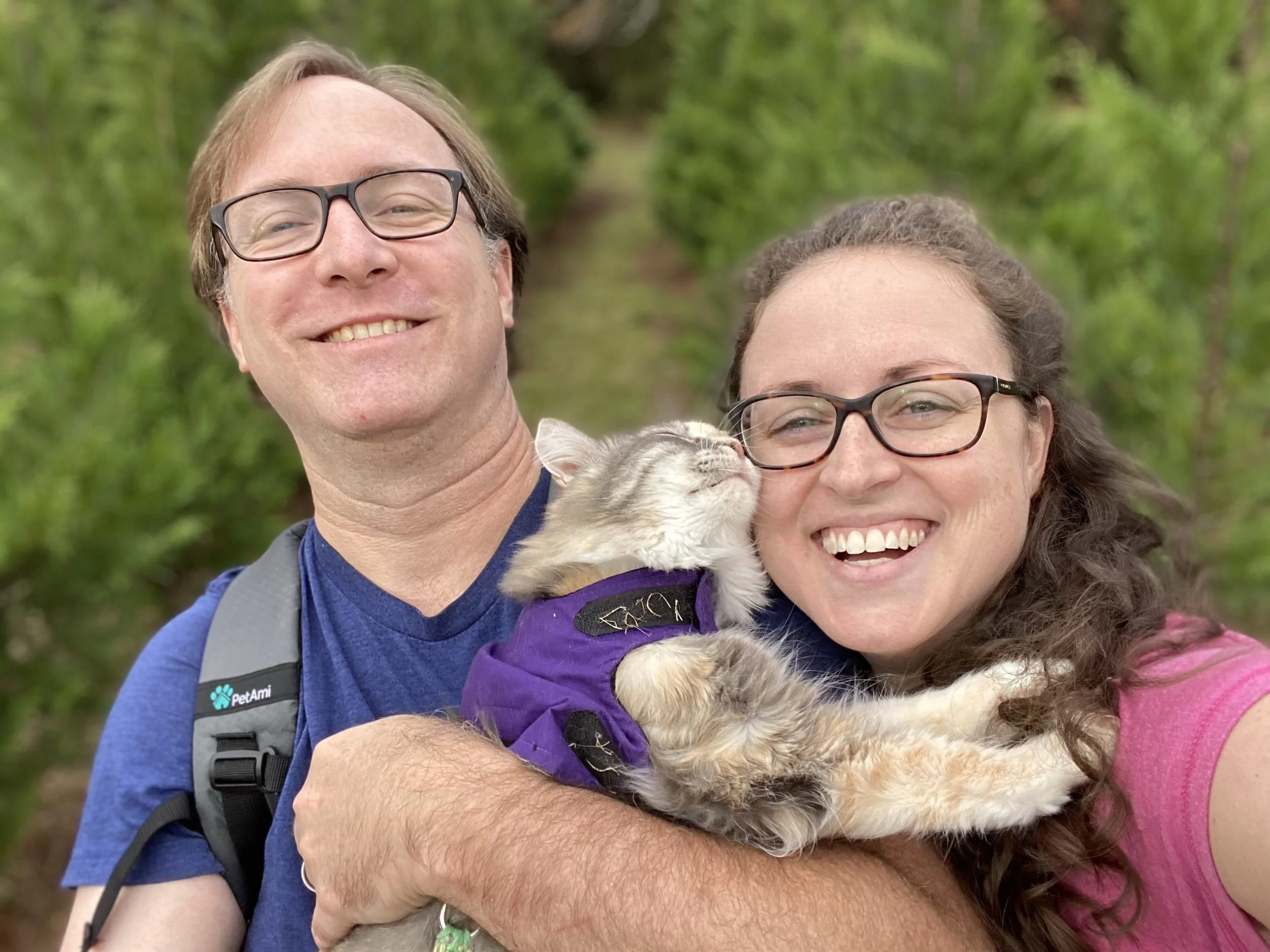 🙀 Does A Cat Really Need To Explore The Outdoors?