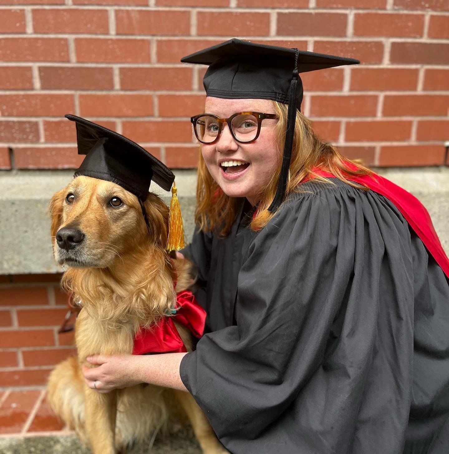 🐕‍🦺 Can a dog really give back independence?