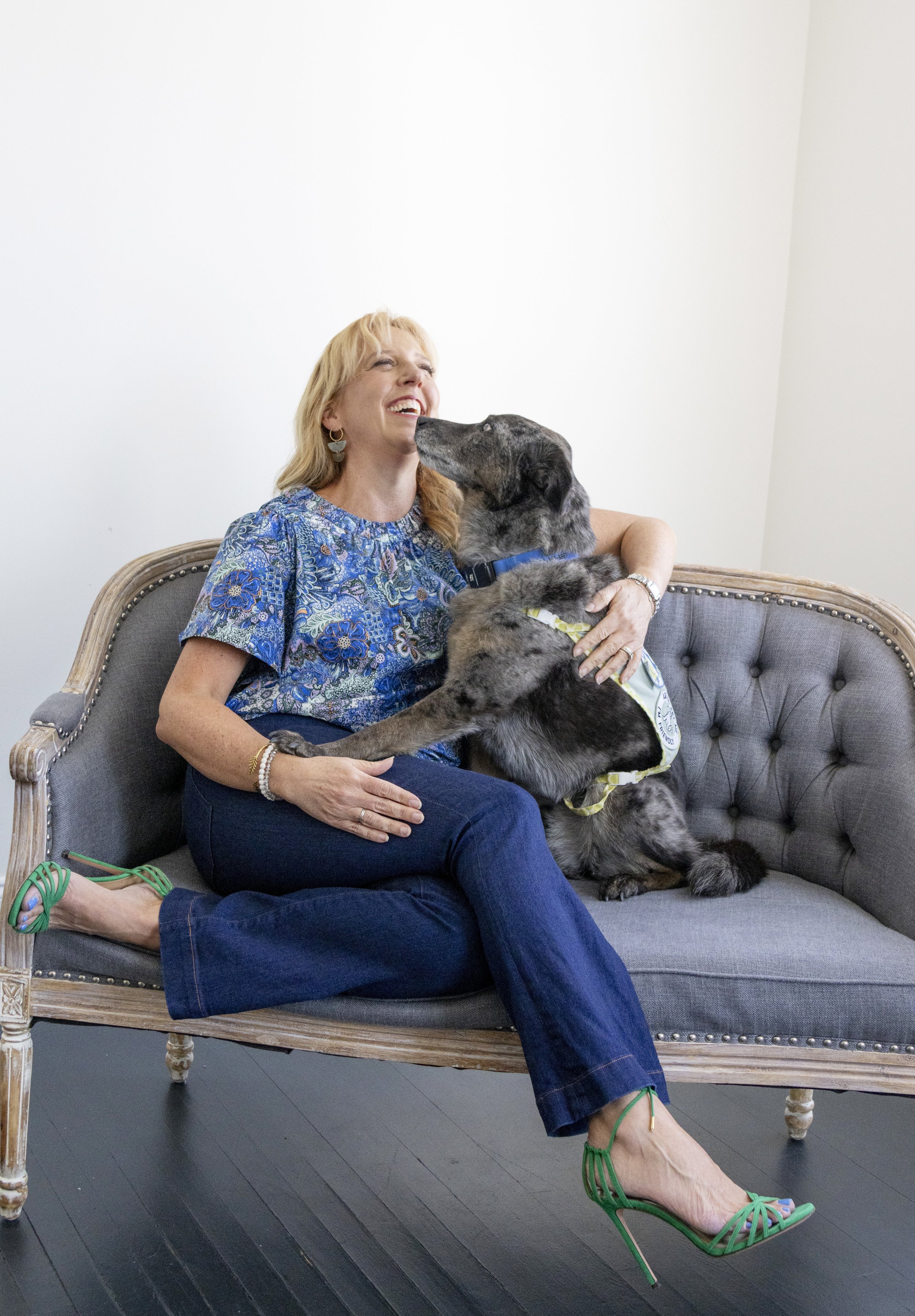 🏠 Does a messy home actually affect your pet?