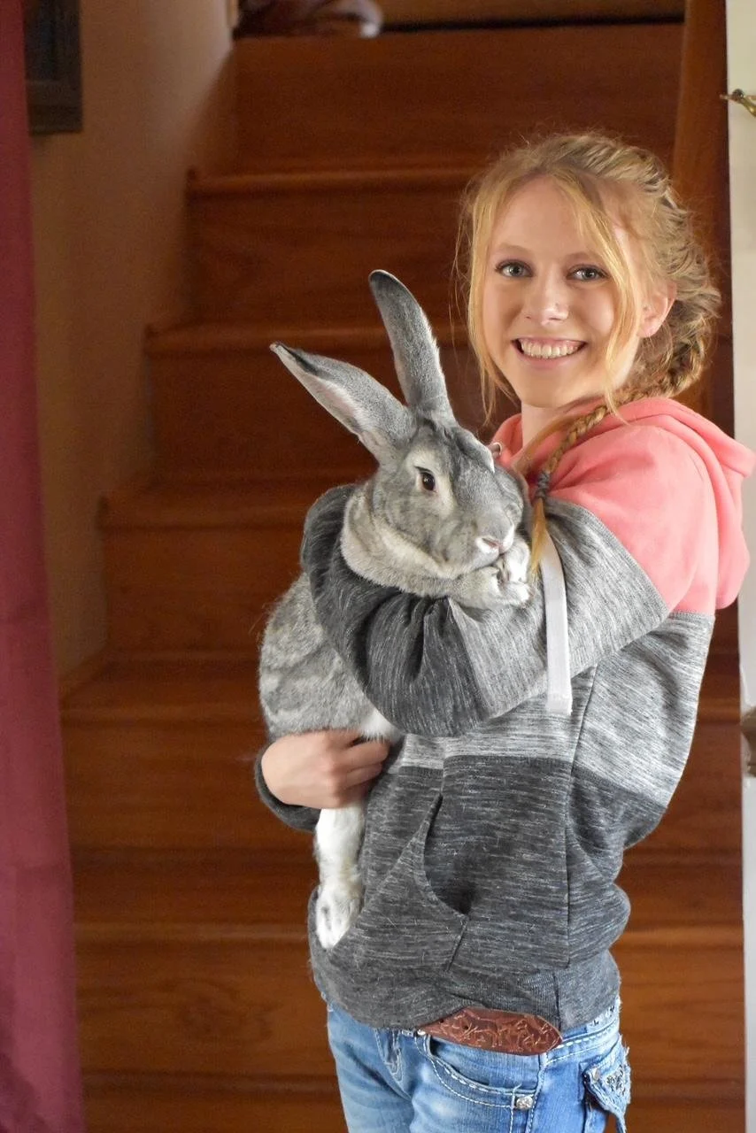 🐇 Bunnies: the perfect pet or a high-maintenance commitment?