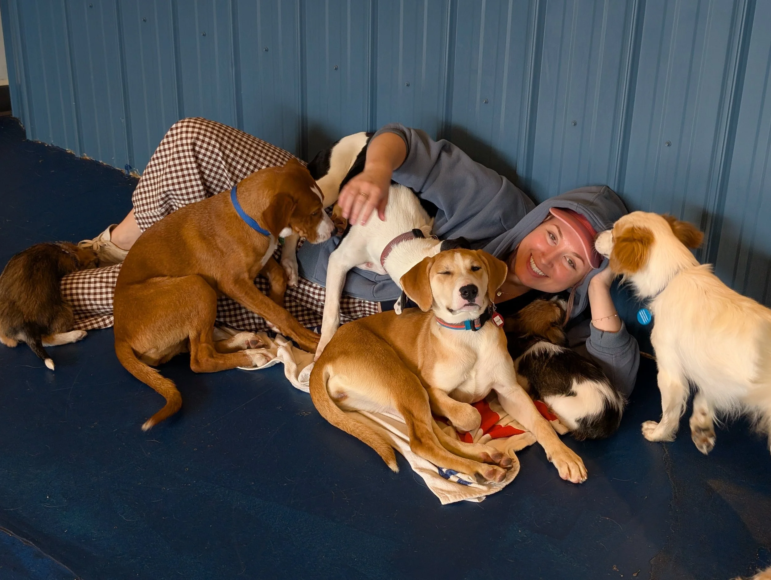 🤔 When animal rescue *didn’t* help the pets, they did this…