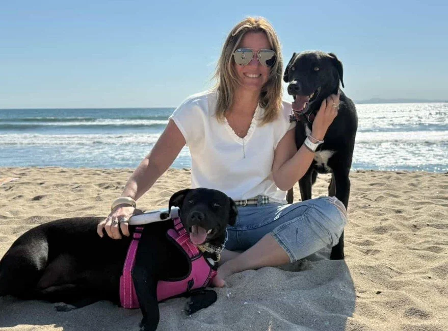 🤔 Would you adopt a dog about to be euthanized?