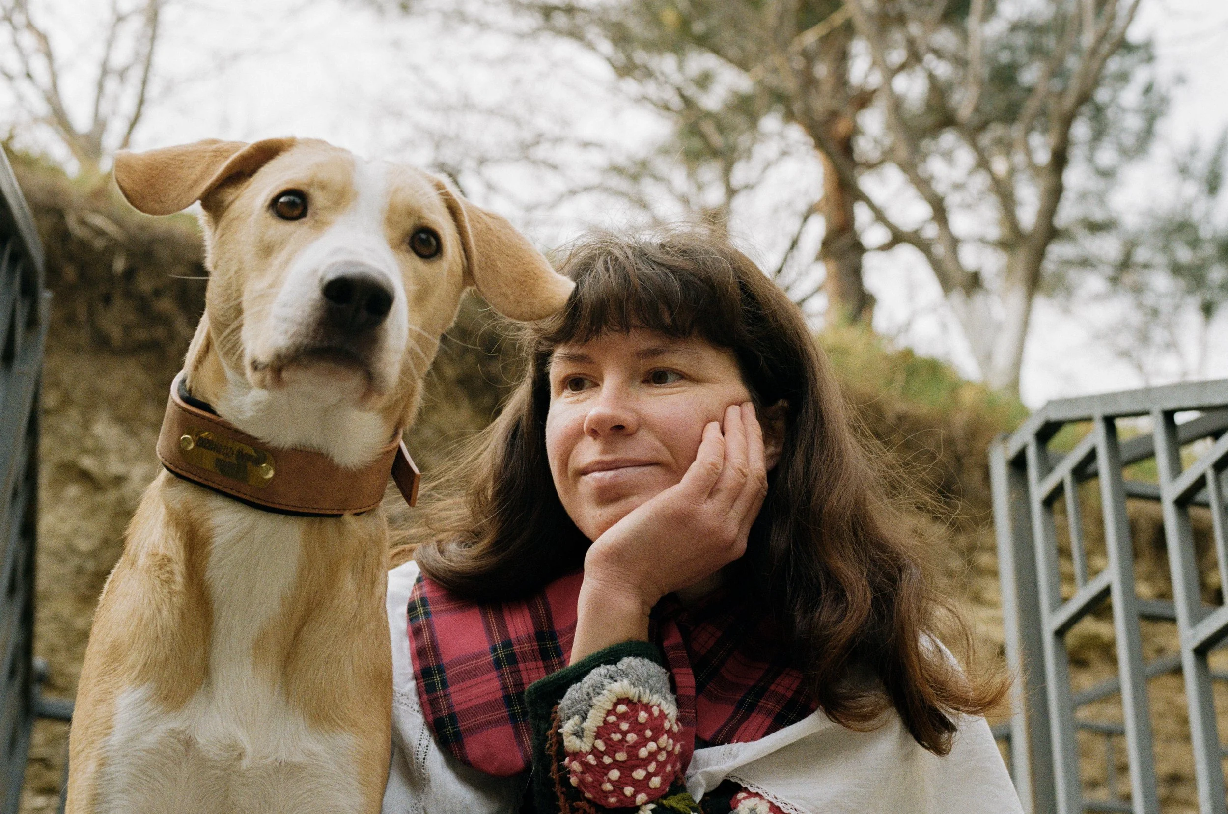 🤔 Would you adopt a pet if life felt unstable?