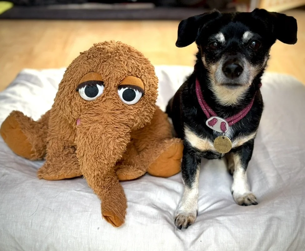 Jambi with Snuffleupagus 2026