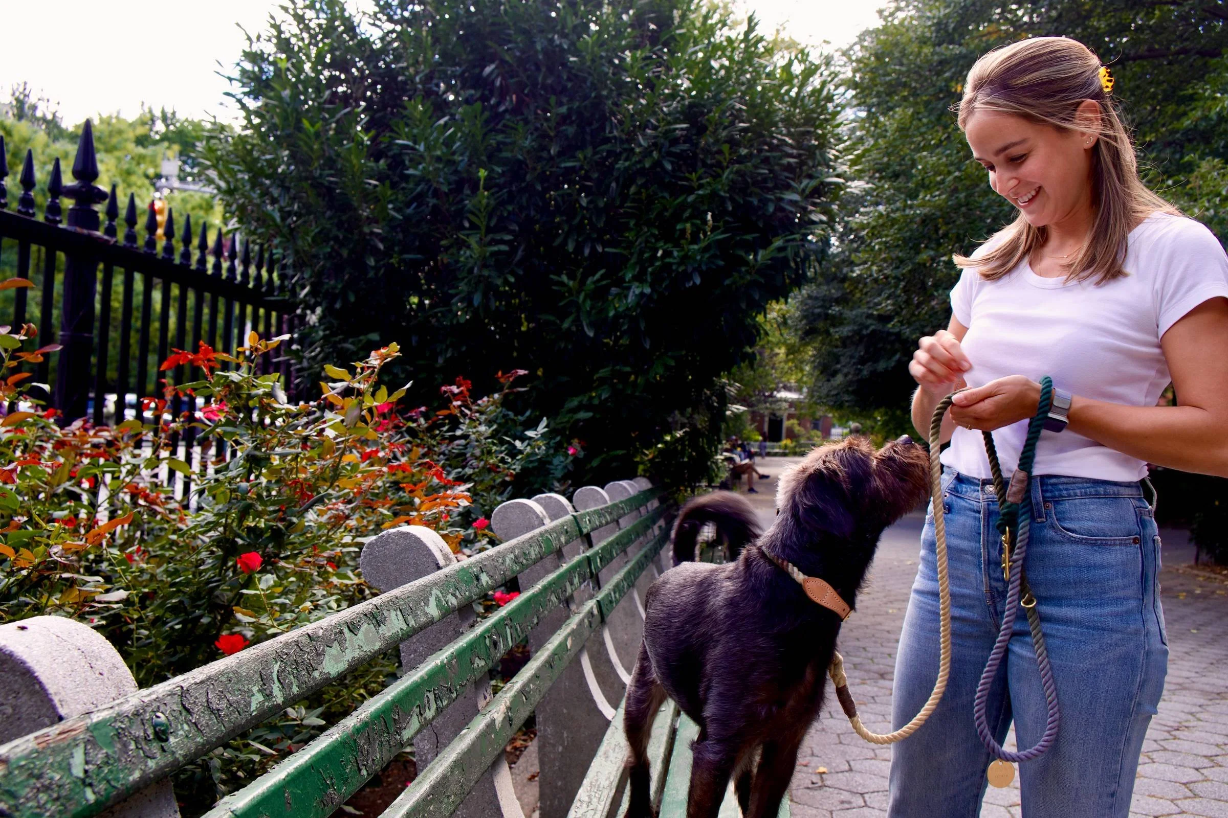 Maddie rewarding dog with paws on bench