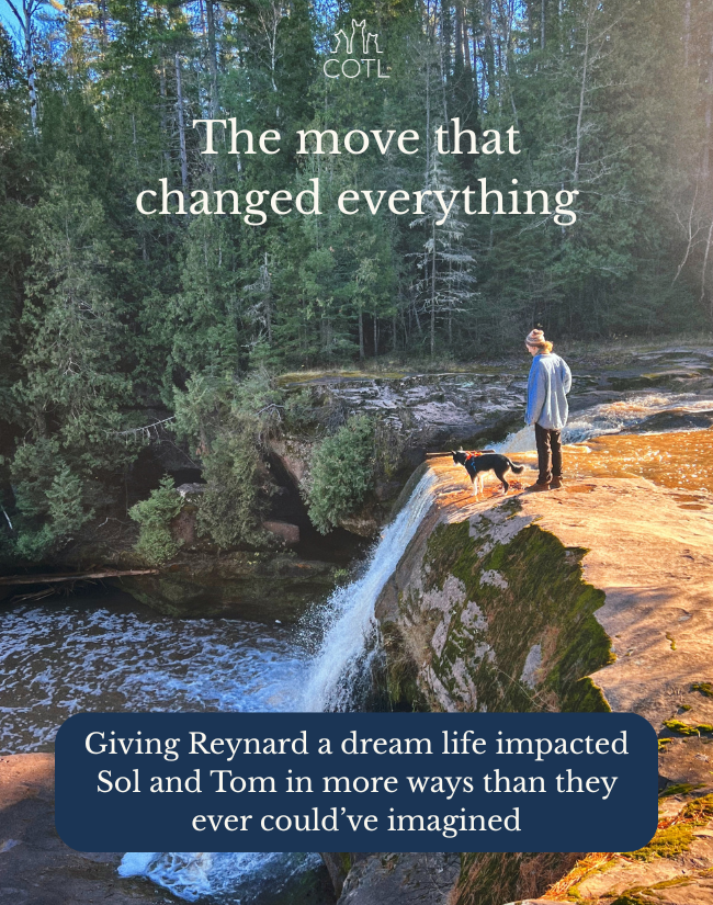 The move that changed everything. Giving Reynard a dream life impacted Sol and Tom in more ways than they ever could’ve imagined