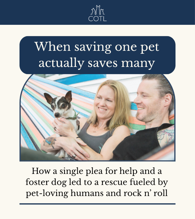 When saving one pet actually saves many. How a single plea for help and a foster dog led to a rescue fueled by pet-loving humans and rock n’ roll