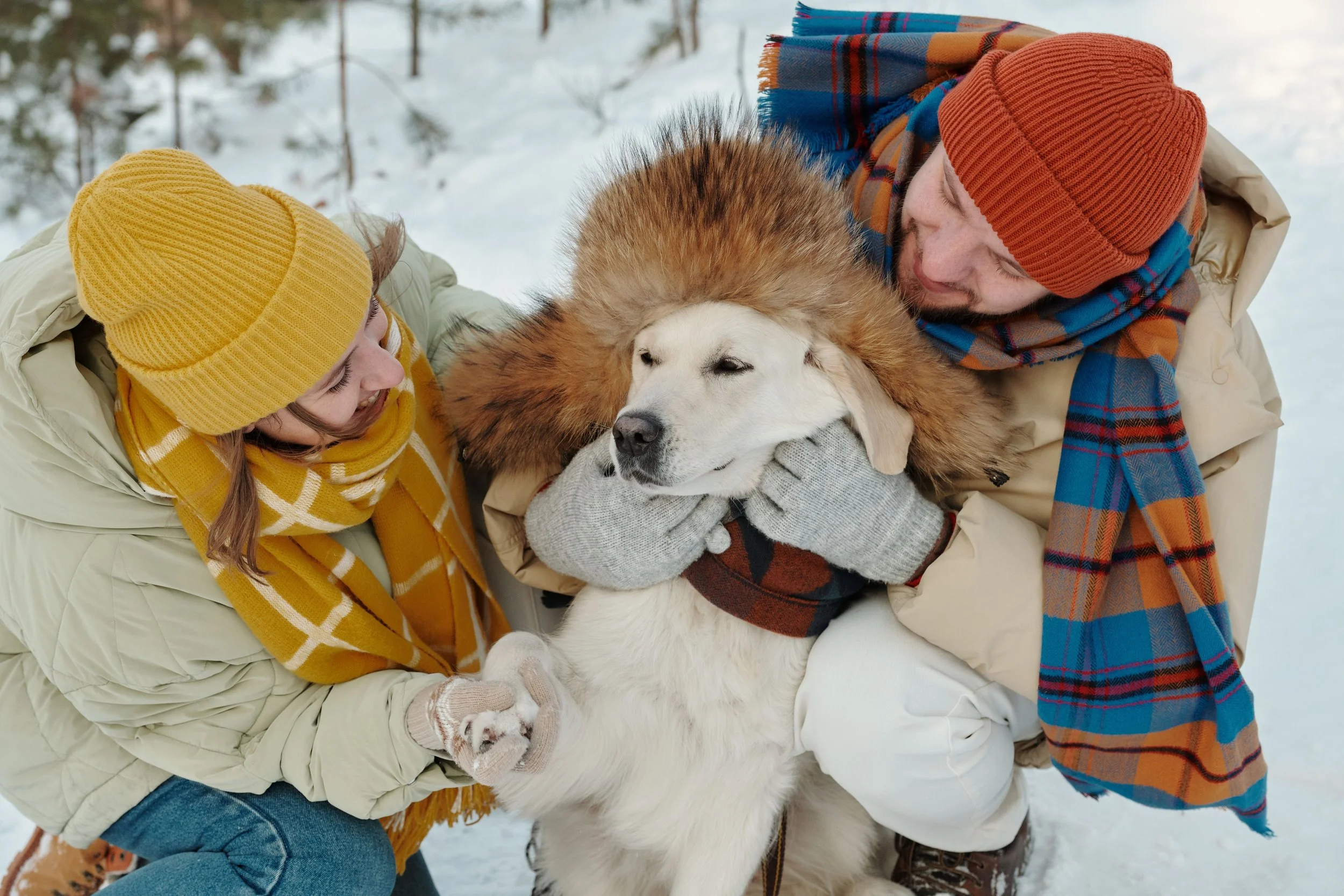 Two people cuddle a large white dog outdoors in winter.