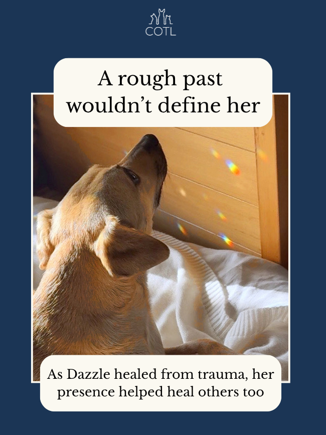 A rough past wouldn’t define her. As Dazzle healed from trauma, her presence helped heal others too