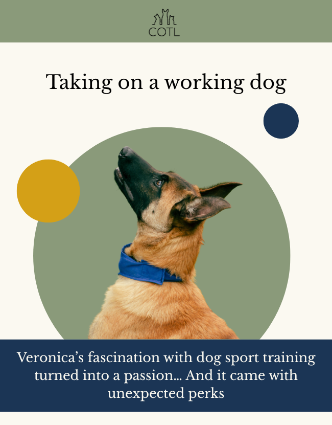 Taking on a working dog. Veronica’s fascination with dog sport training turned into a passion… And it came with unexpected perks