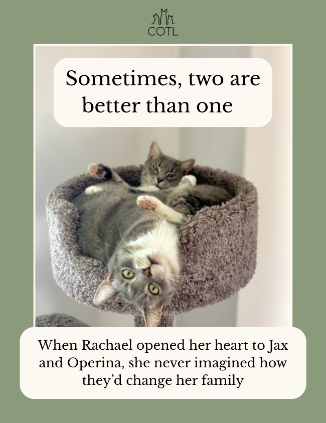 Sometimes, two are better than one. When Rachael opened her heart to Jax and Operina, she never imagined how they’d change her family