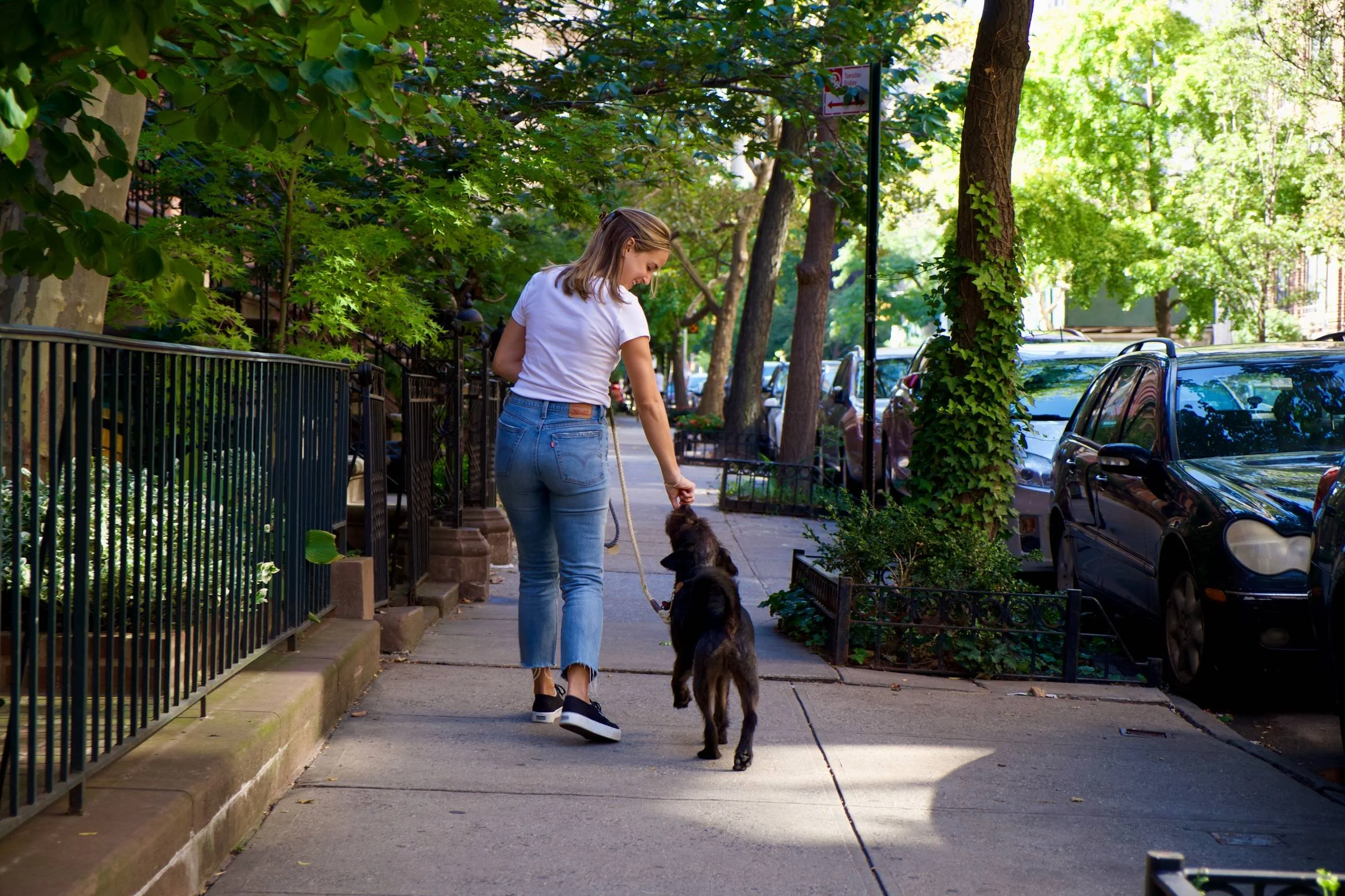 Maddie rewarding dog on city sidewalk