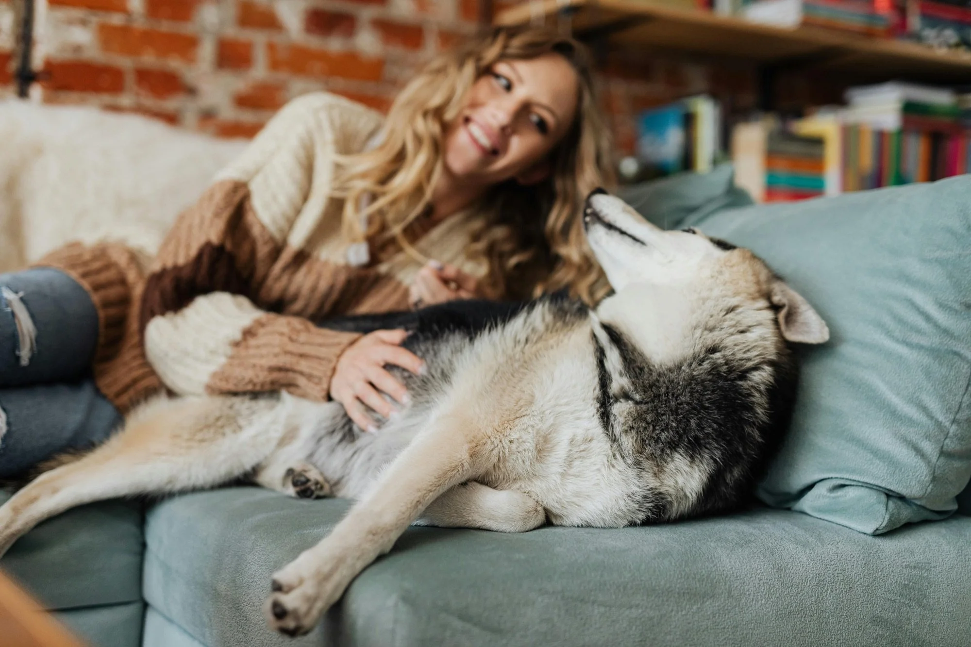 A dog rests at home beside a pet parent reviewing current care notes