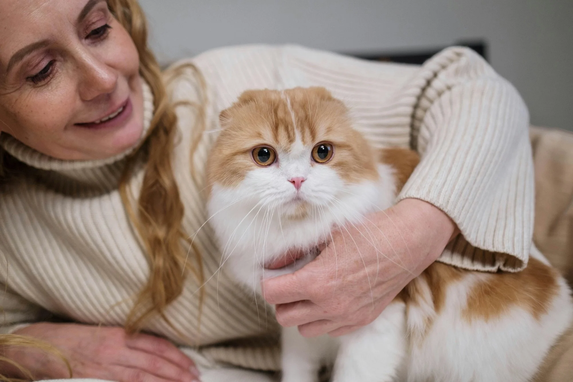 A relaxed cat rests at home beside a caregiver.