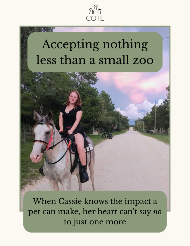 Accepting nothing less than a small zoo. When Cassie knows the impact a pet can make, her heart can’t say no to just one more