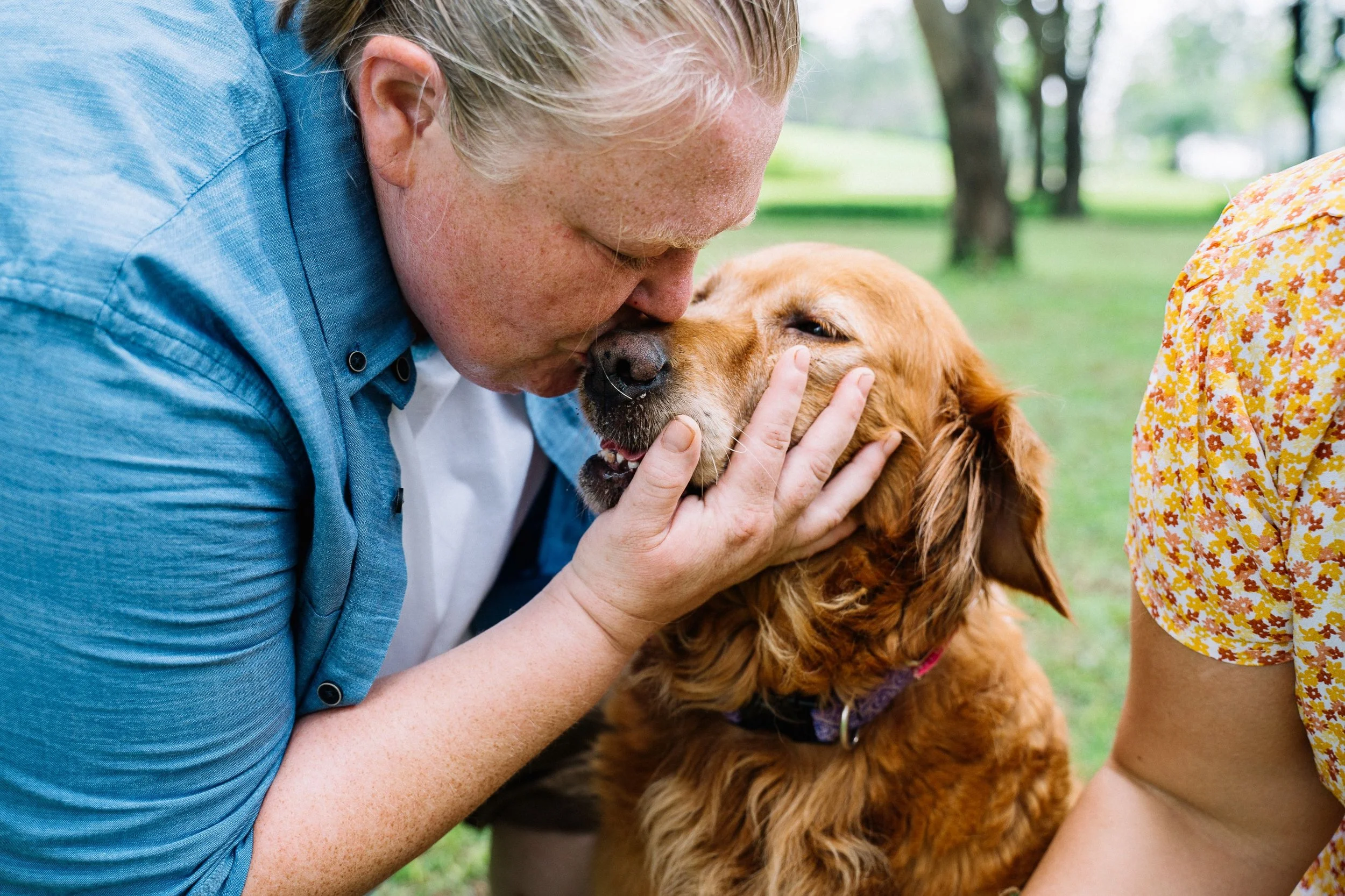 An older adult gently kisses a golden retriever in a park.