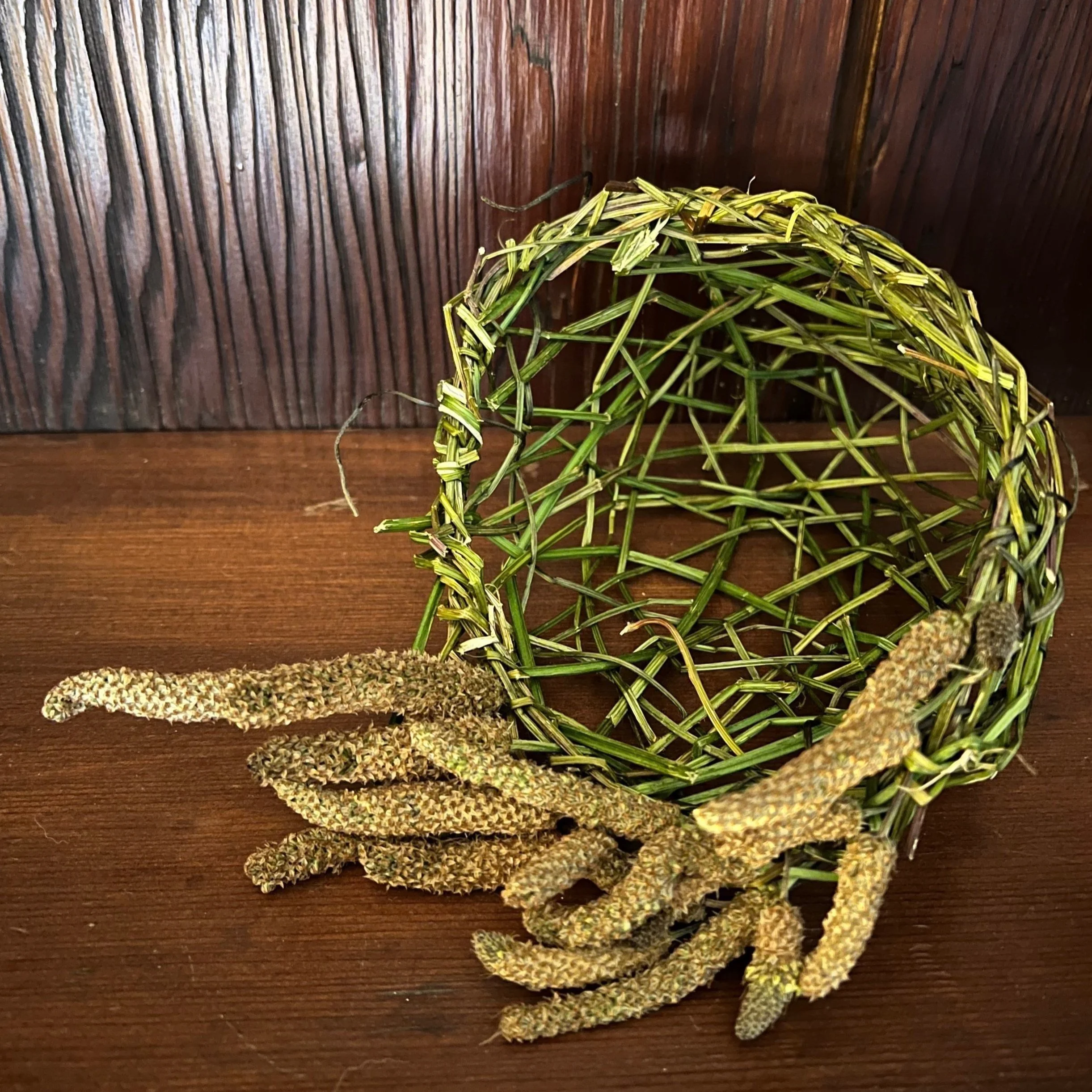 How She Hold's, Plantago lanceolata (Ribgrass) basket, 2024
