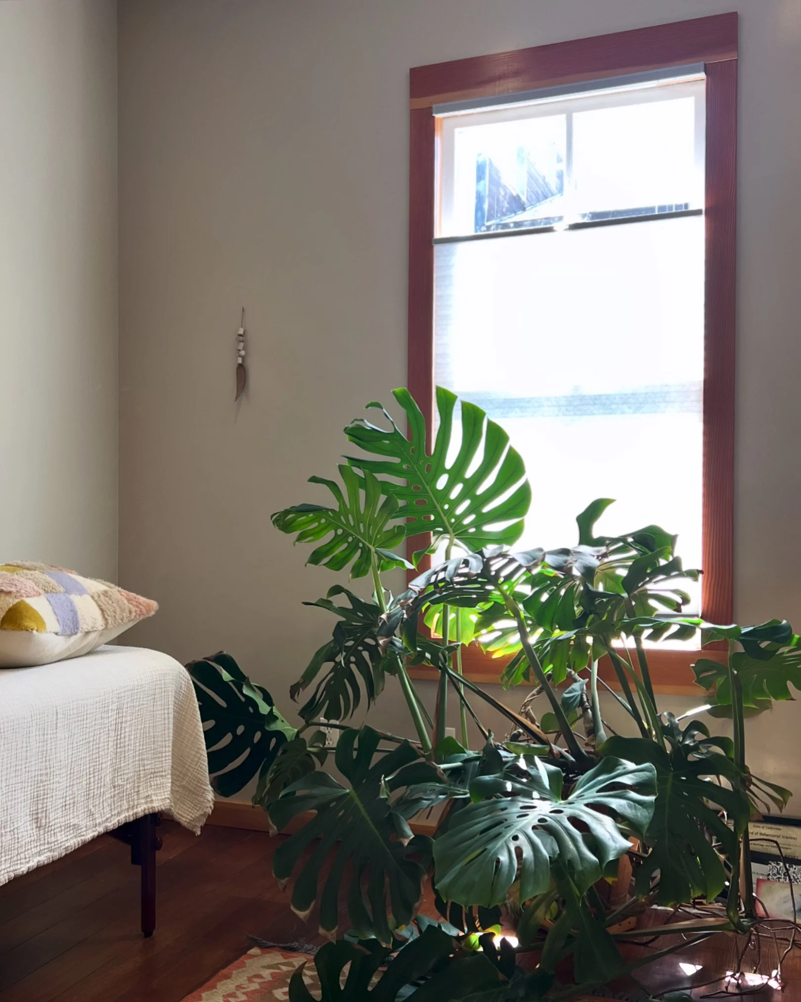 Sound of Soul Studio | Multidisciplinary studio.  Arcata, CA, 2022 - present