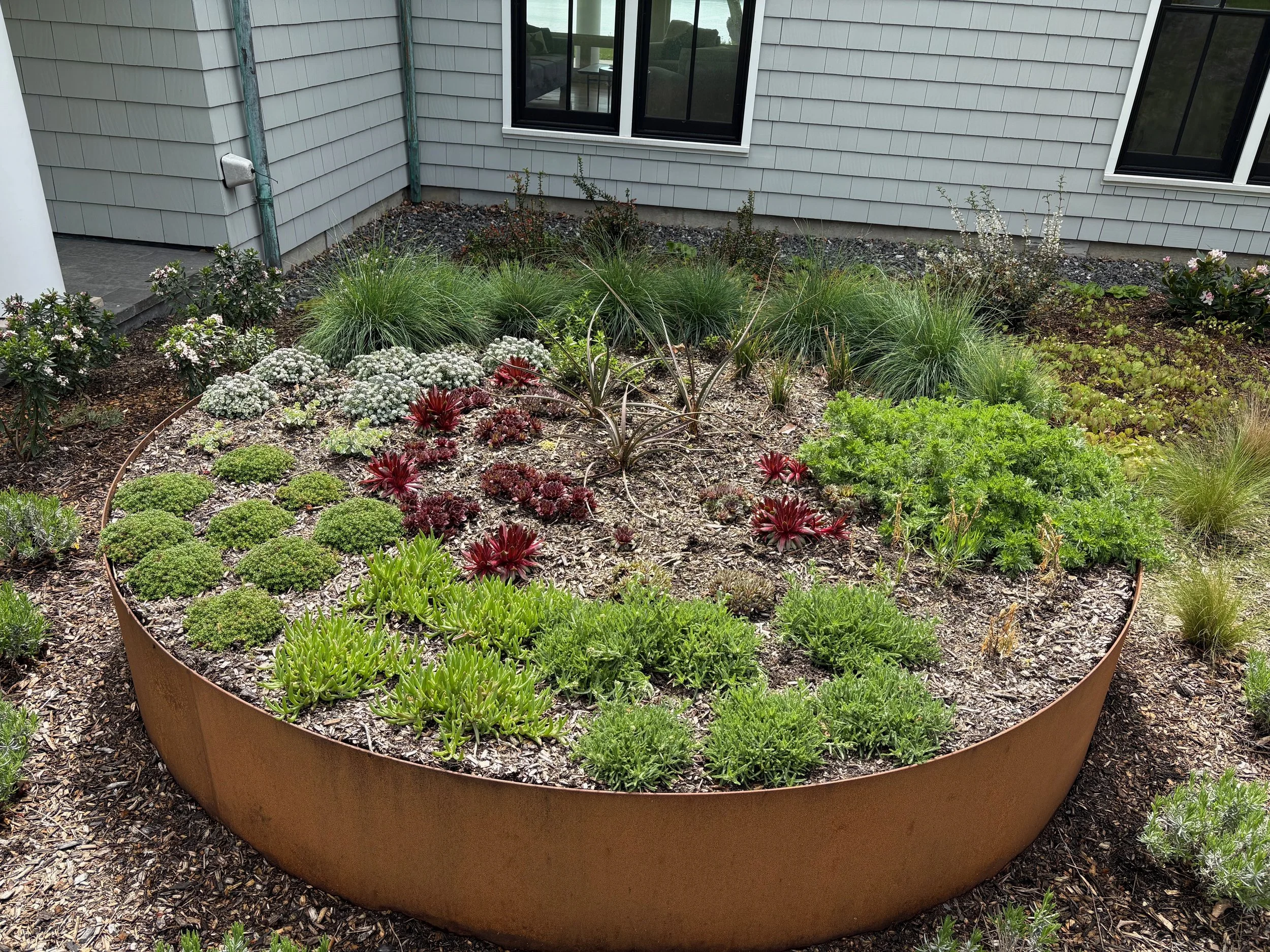 A large circular metal garden bed filled with various green and red plants, situated next to a house with gray siding and black-framed windows.