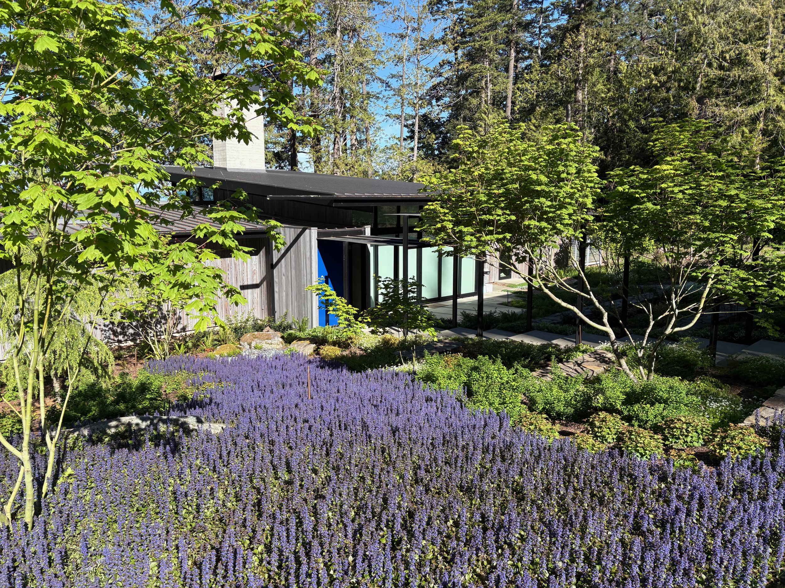 Modern house with large windows surrounded by lush green trees, purple flowering plants, and a landscaped garden in a forest setting.