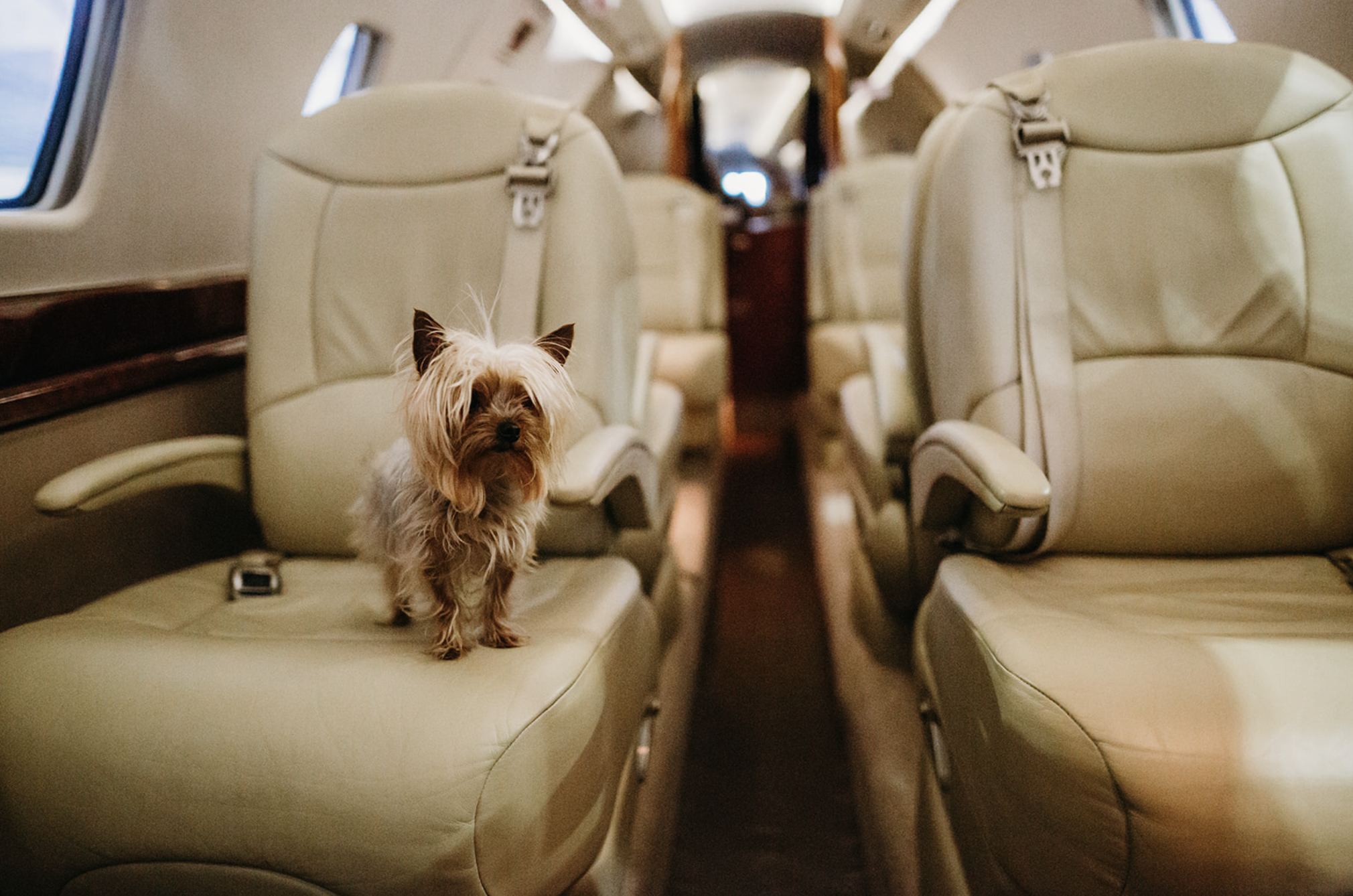 Screenshot 2024-08-22 at 12.48.08 PM.png