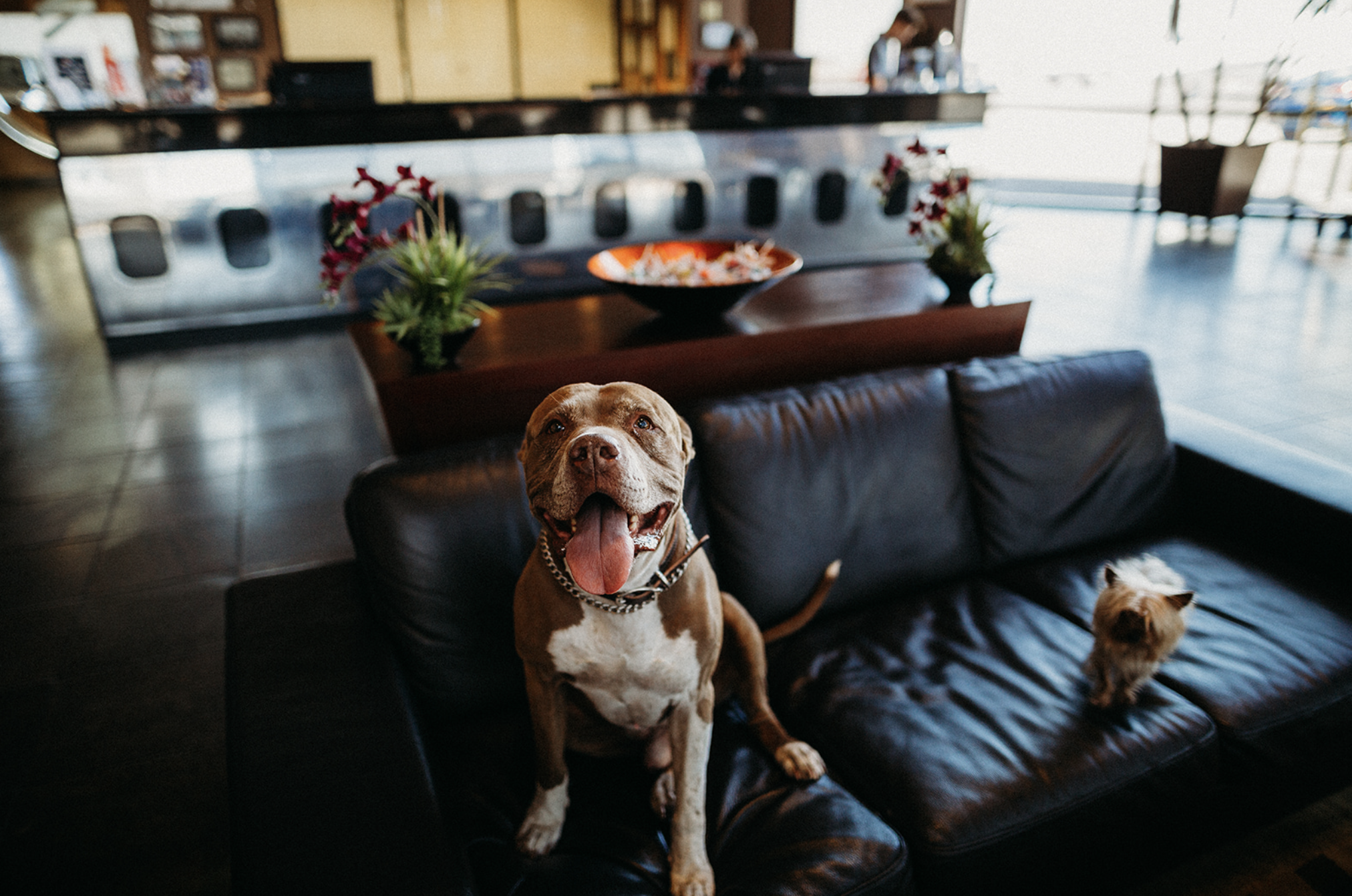 Screenshot 2024-08-22 at 12.47.44 PM.png