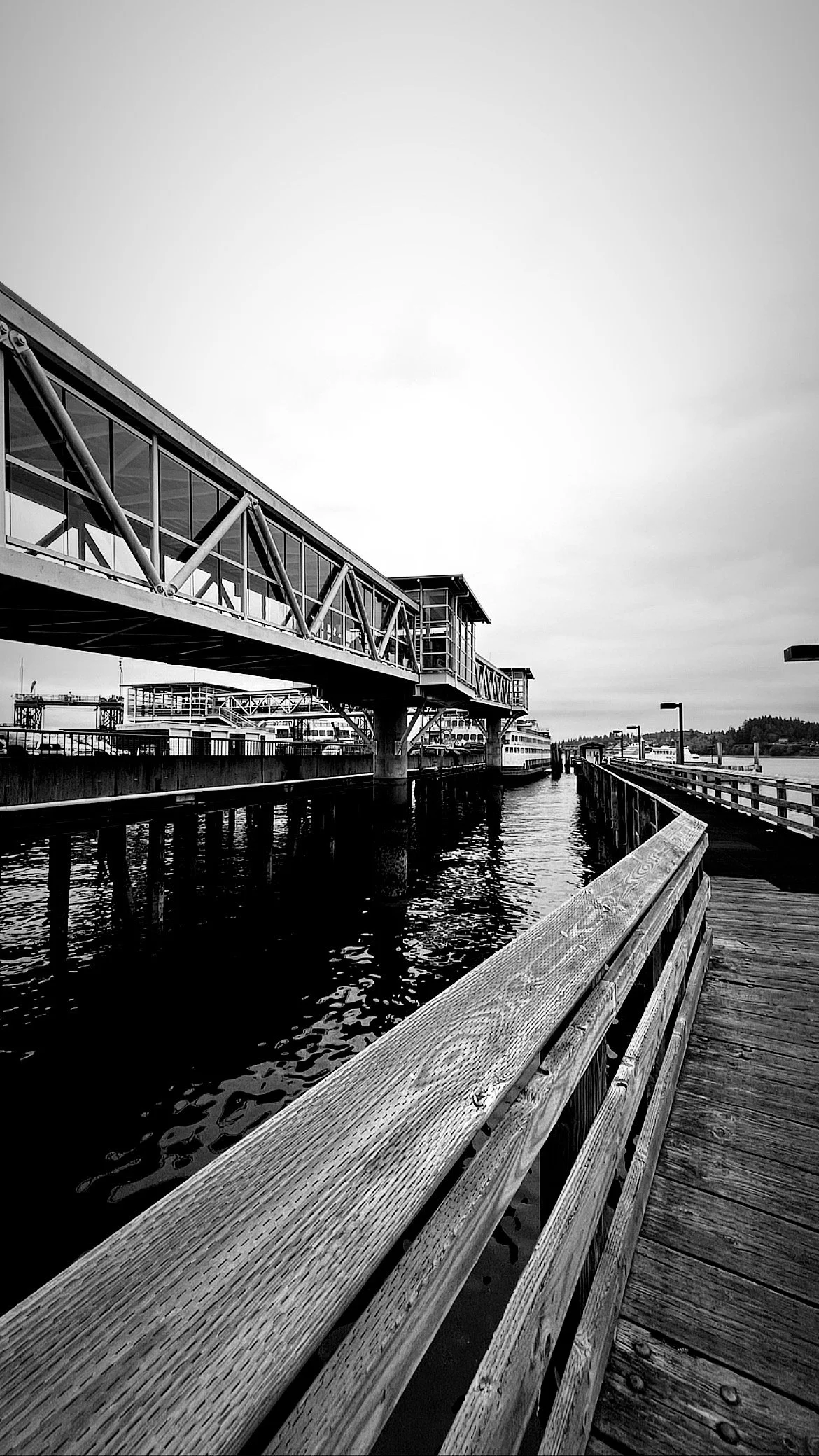 Black and white photo of the Kingston ferry terminal with an overhead pedestrian bridge leading to docked ferries, reflected in the still water below.