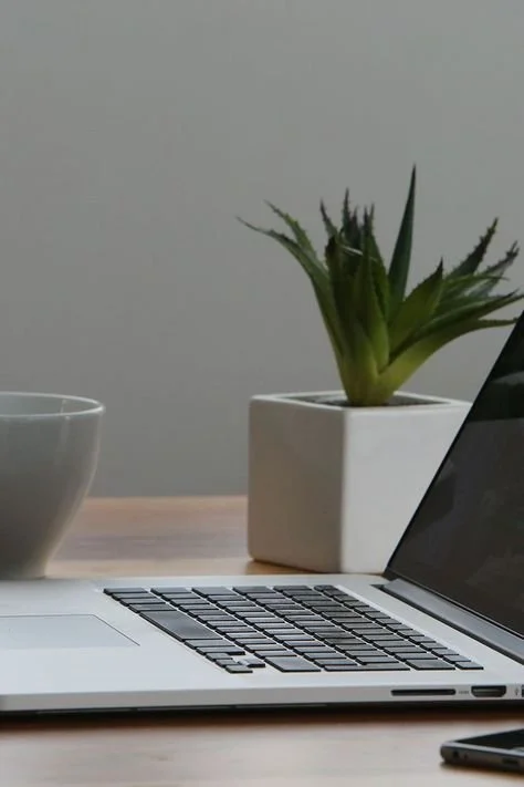 What is the Difference between an Online Business Manager and a Virtual Assistant?