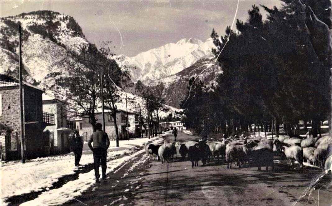 Ο κεντρικός δρόμος-Αρχείο Νίκου Μυρσίνη