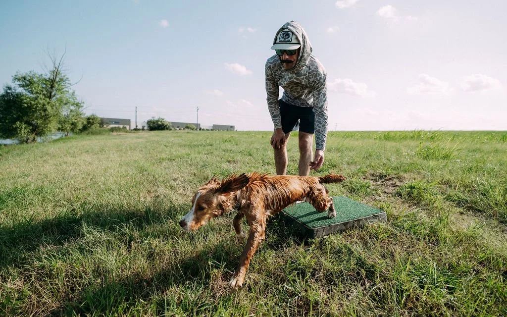 dog trainer in a hoodie and sunglasses throws a bumper for an English Cocker Spaniel to retrieve.