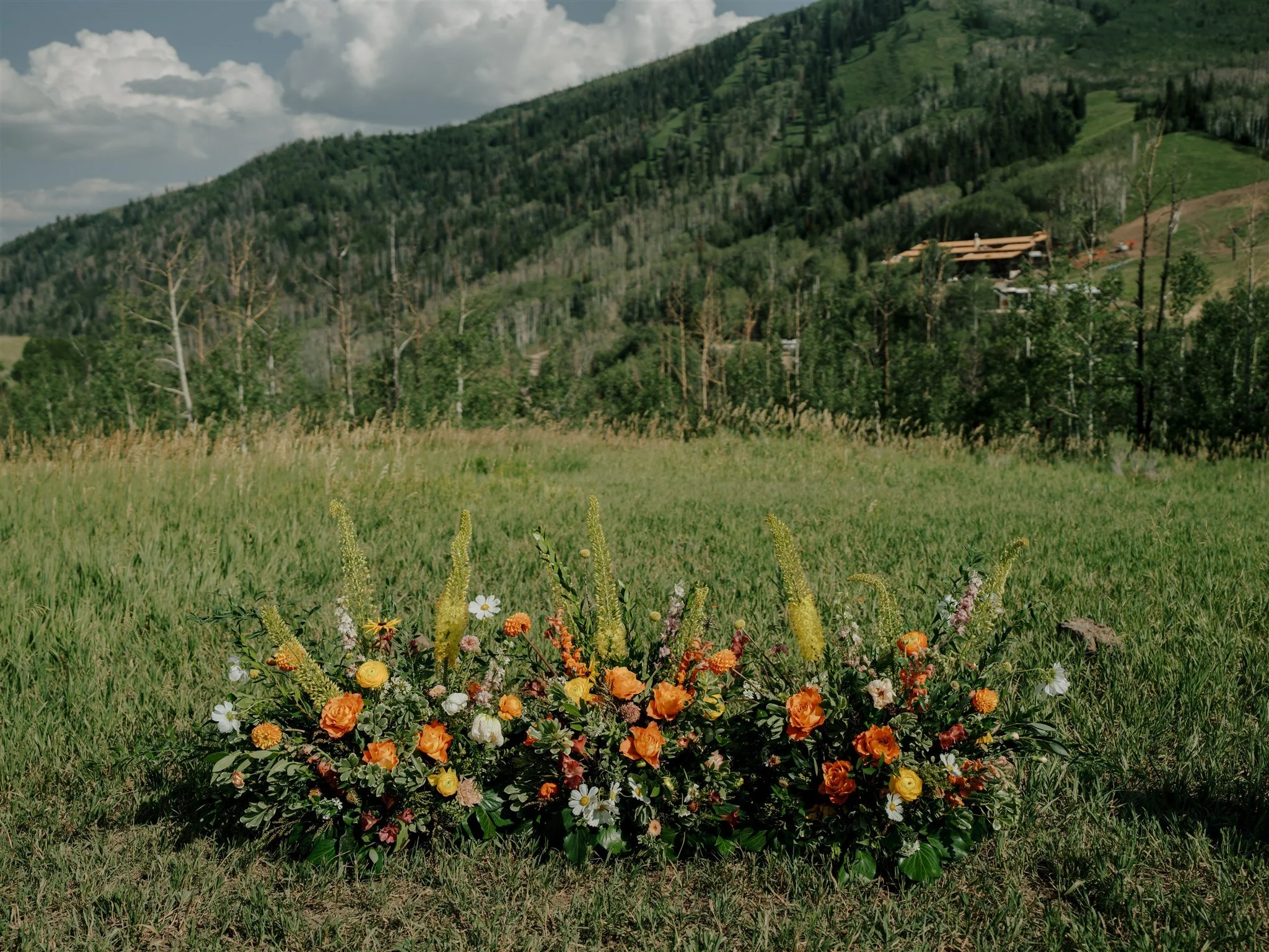 Alex Medvick Photography