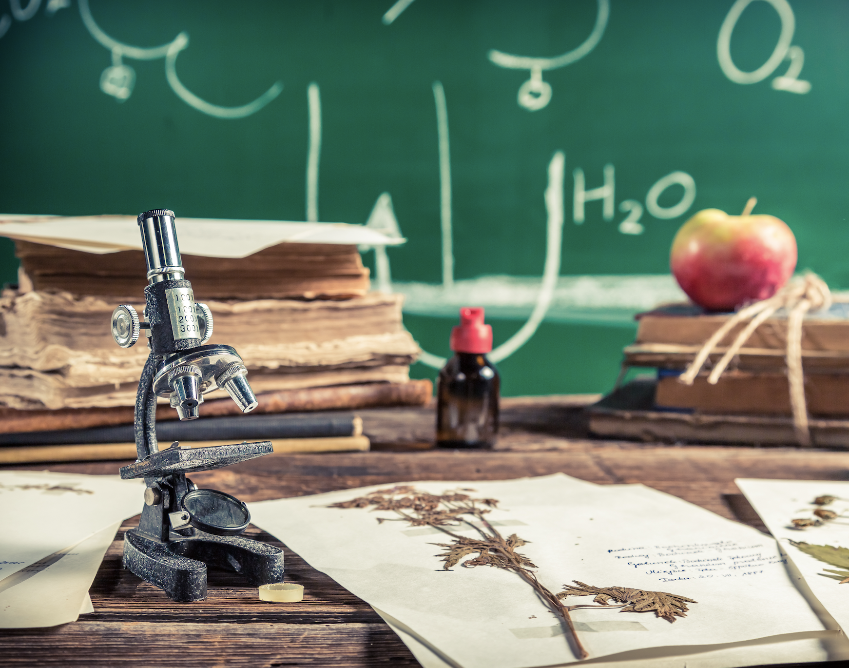 Online Custom Learning Plan  Monthly Subscription