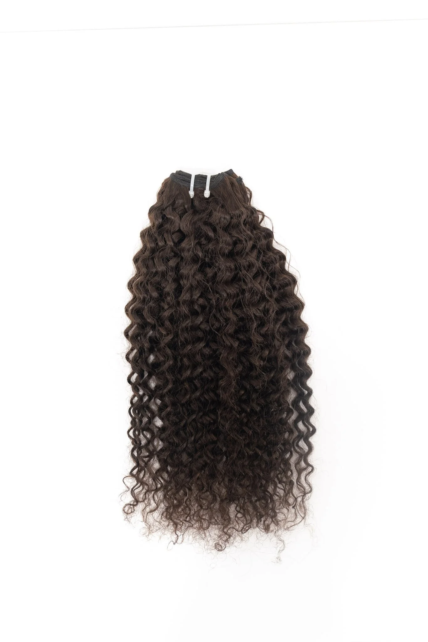 curly 2-IMG_4916.JPG