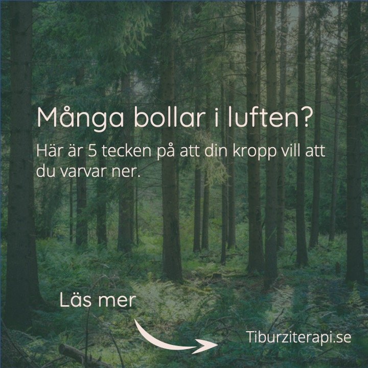 Bild3.jpeg