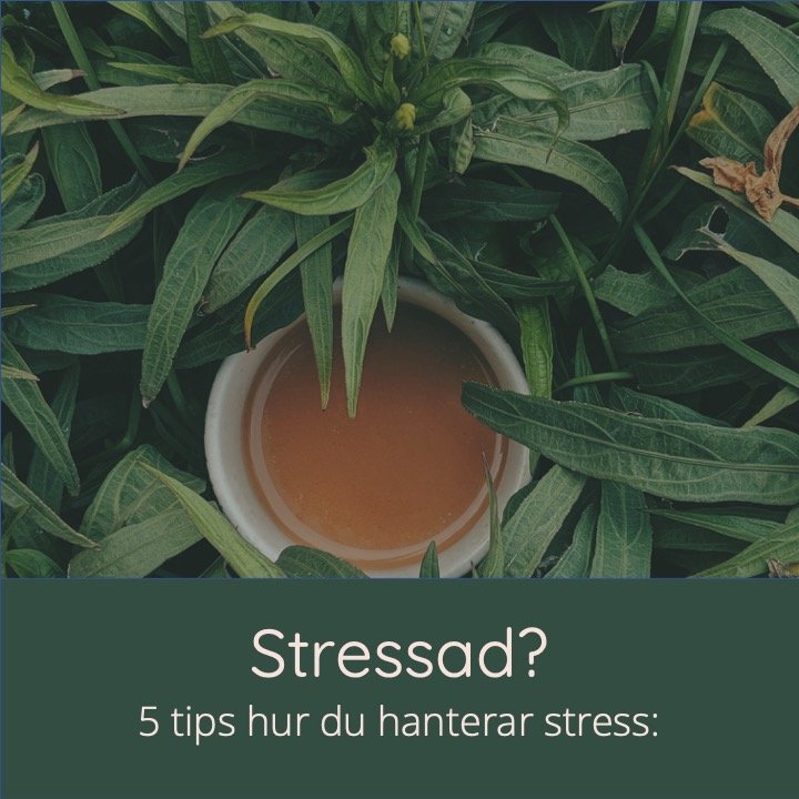 Bild1.jpeg
