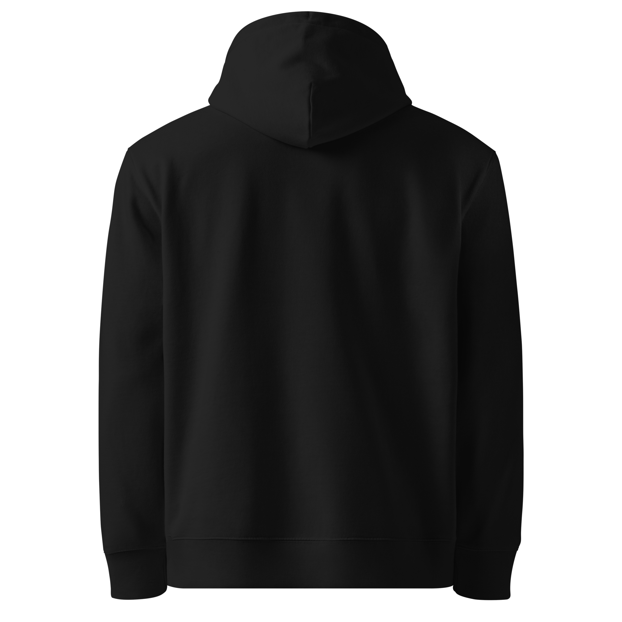 unisex-essential-organic-cruiser-2.0-hoodie-black-back-6a495a3c8bc64.png