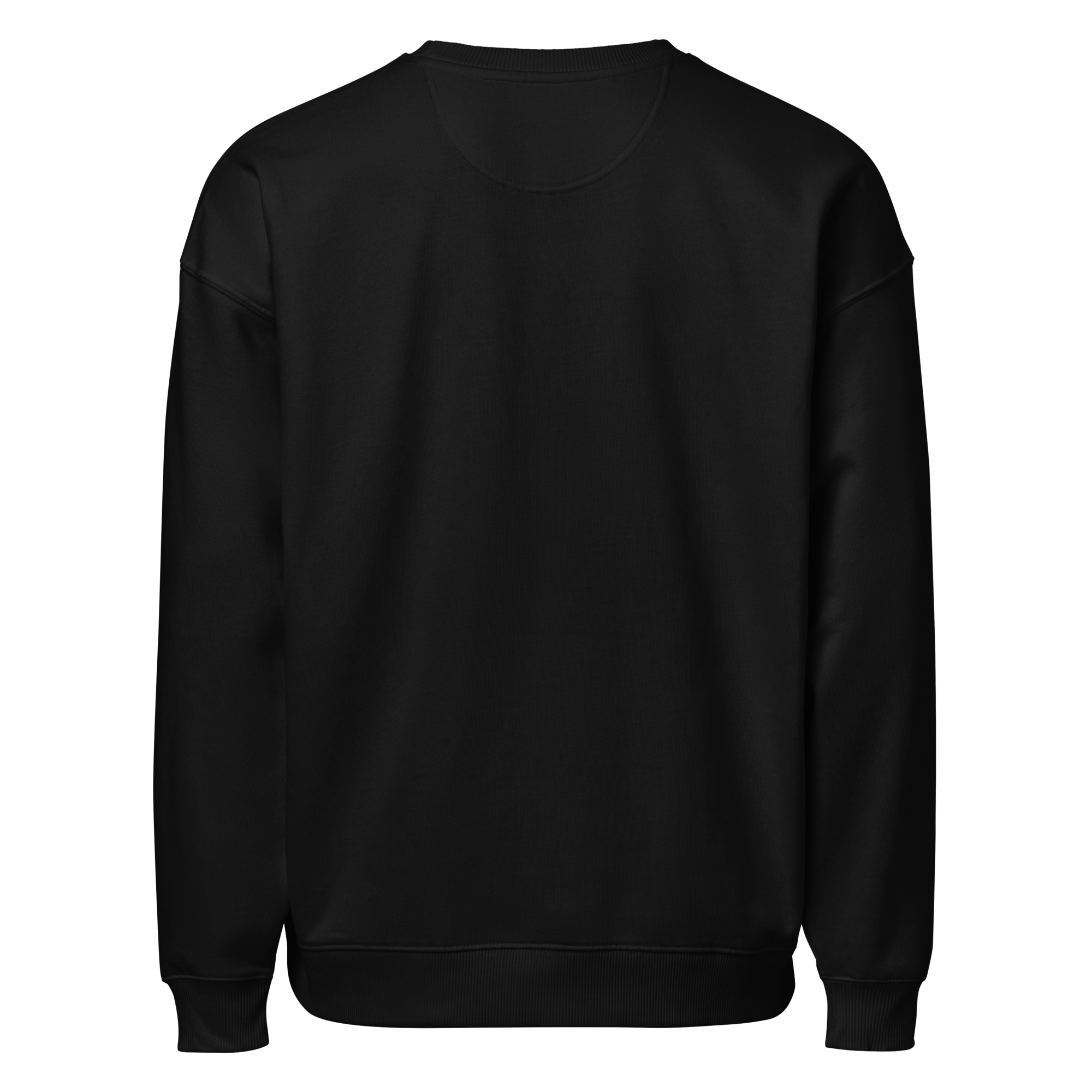 unisex-organic-oversized-raddler-2.0-sweatshirt-black-back-6ad13bcf21259.png