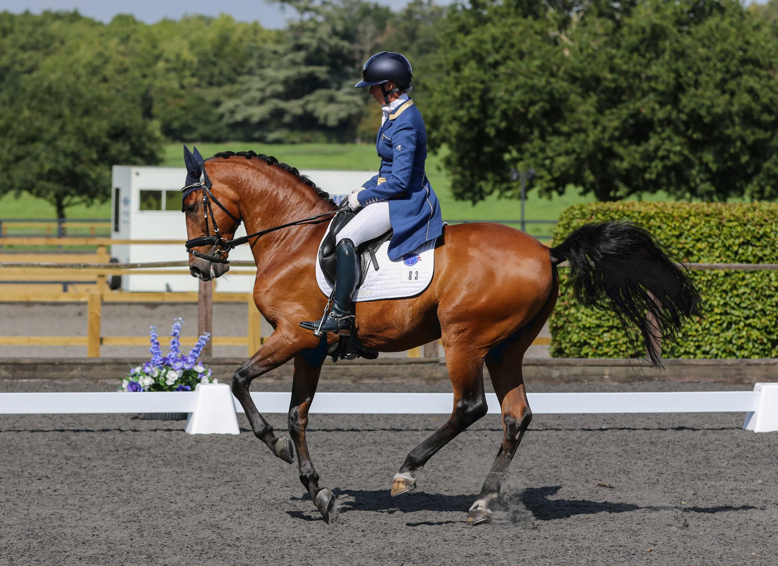 Equine Photographer Bournemouth Christchurch Poole Dorset-0266.jpg