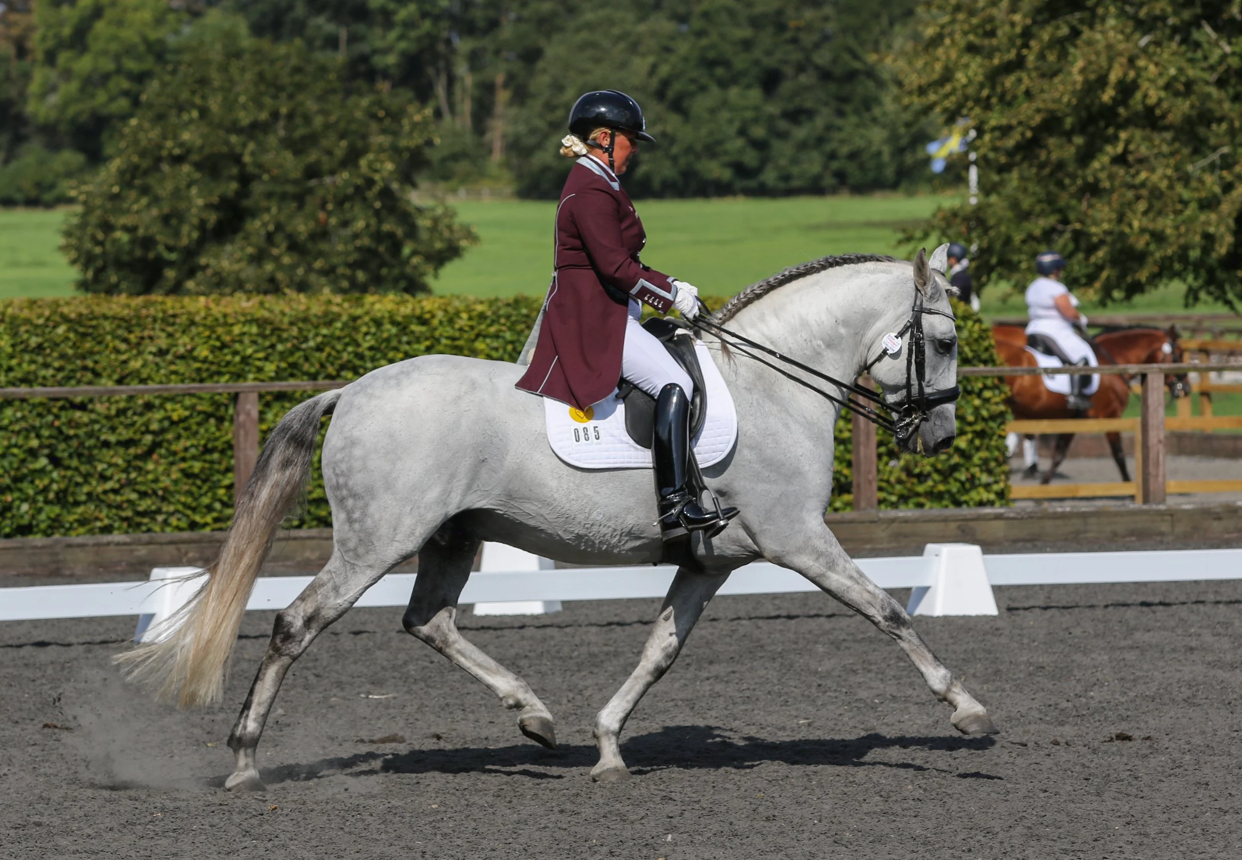 Equine Photographer Bournemouth Christchurch Poole Dorset-0299.jpg