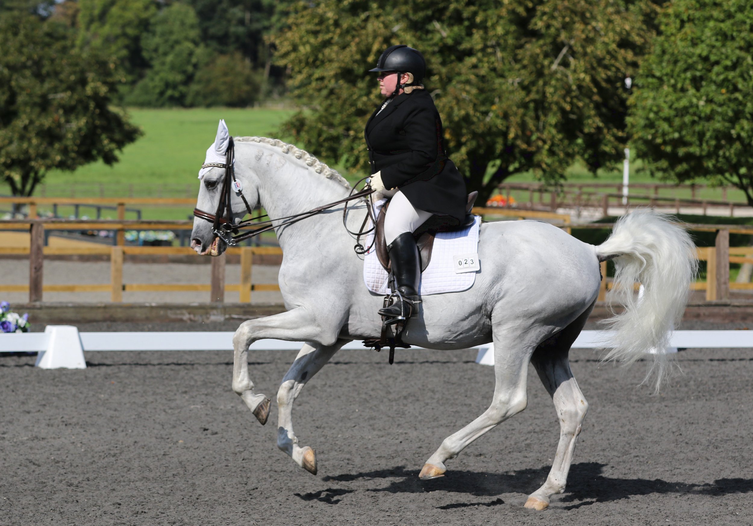 Equine Photographer Bournemouth Christchurch Poole Dorset-1170.jpg