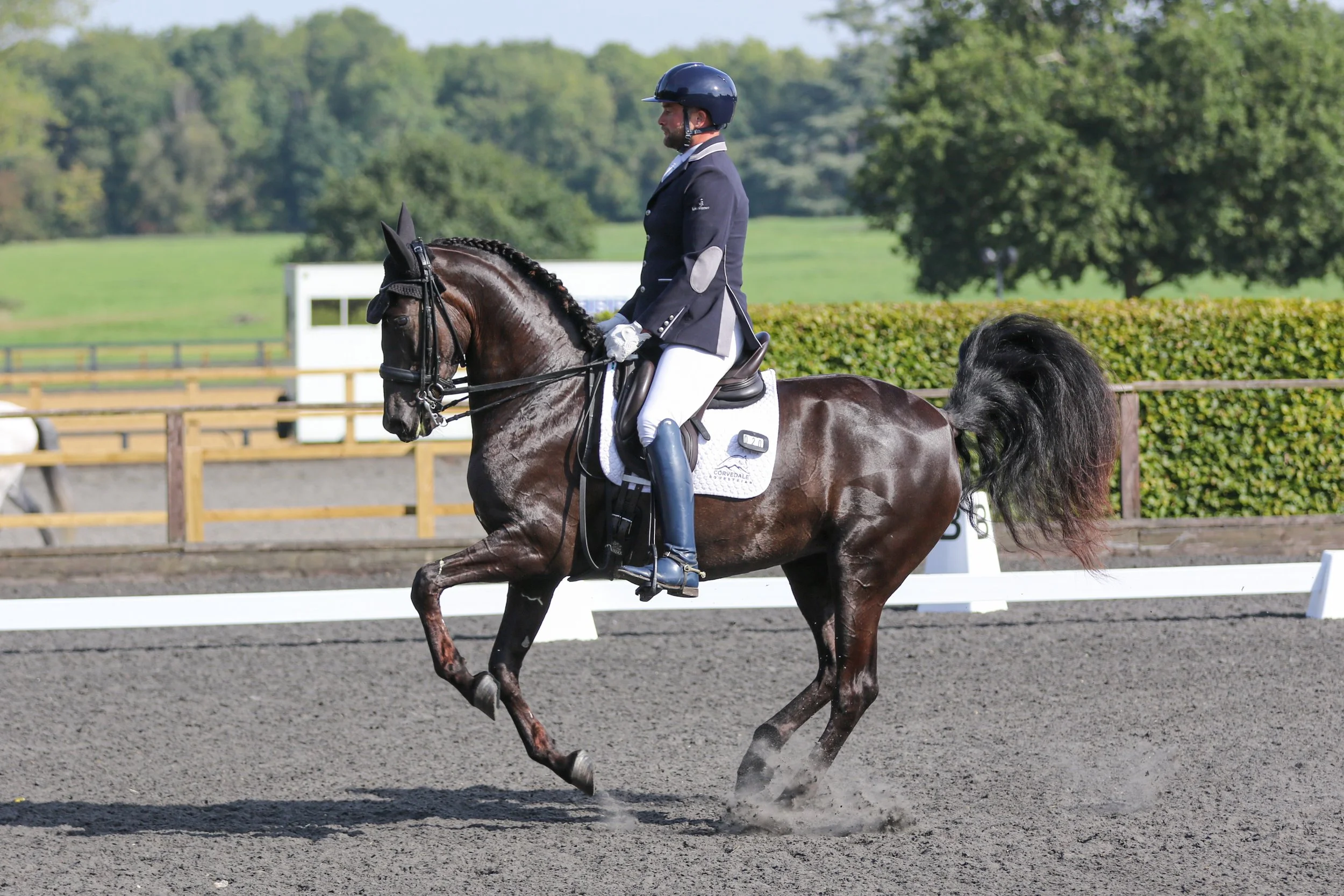 Equine Photographer Bournemouth Christchurch Poole Dorset-2405.jpg