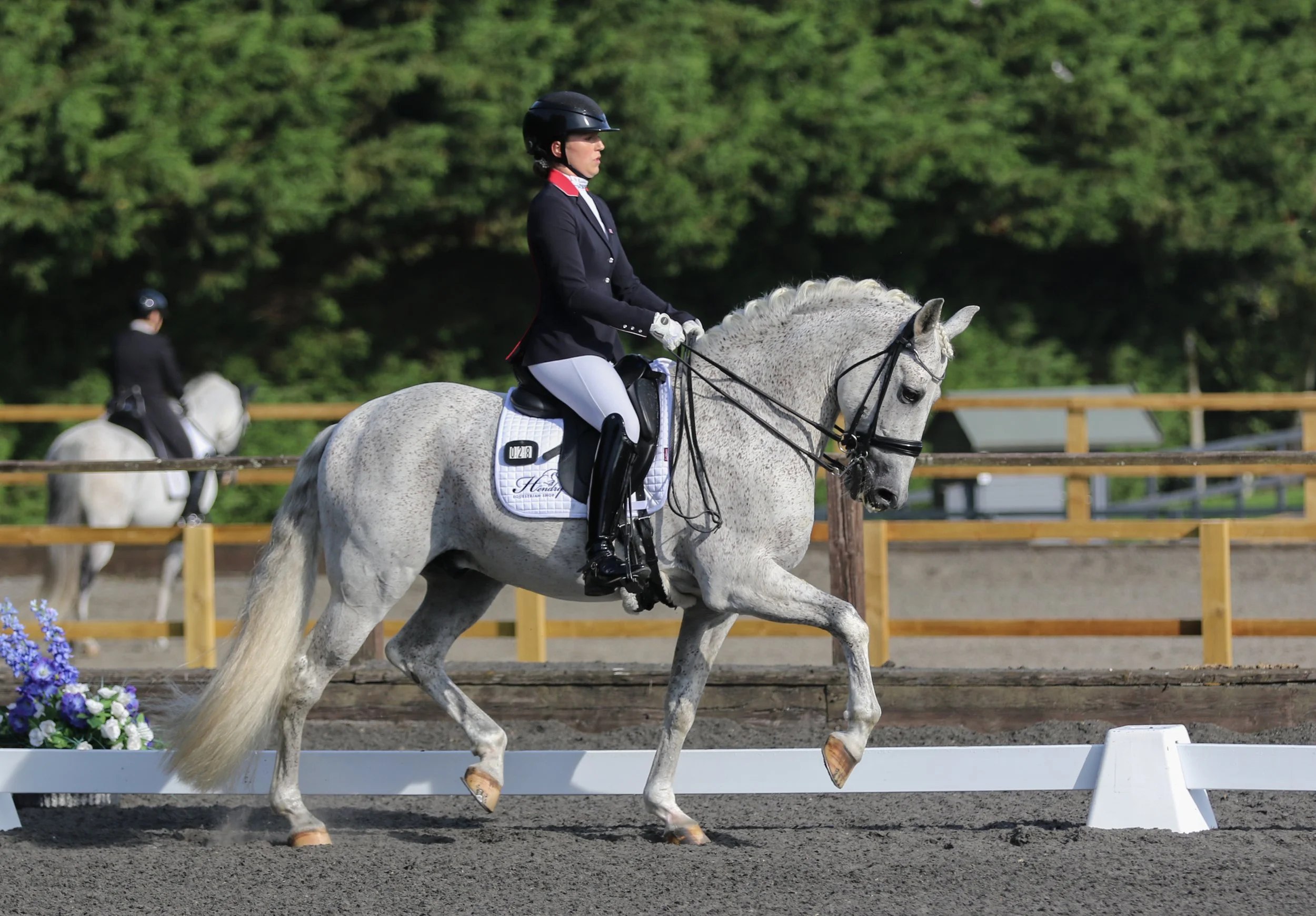 Equine Photographer Bournemouth Christchurch Poole Dorset-1778.jpg