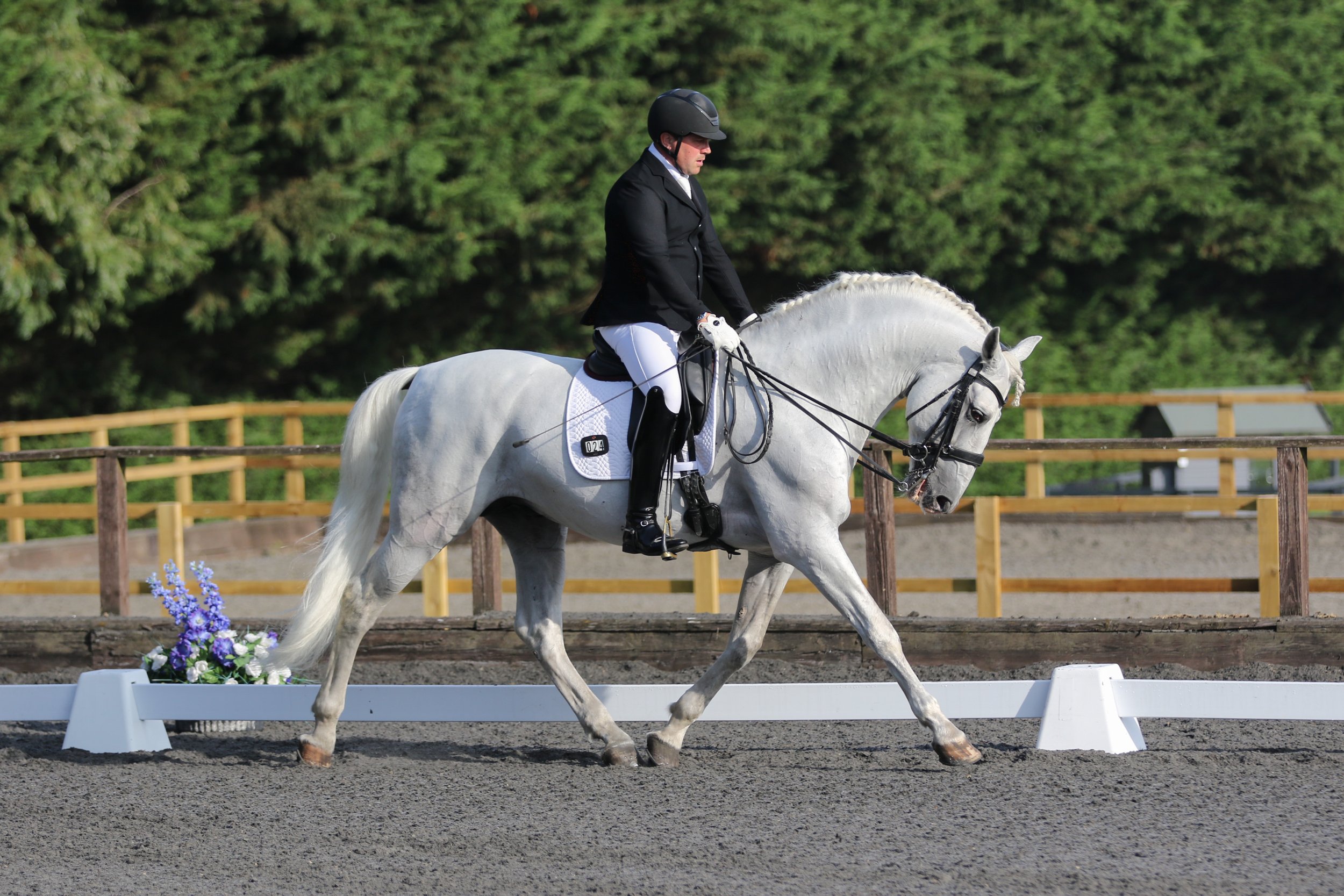 Equine Photographer Bournemouth Christchurch Poole Dorset-1573.jpg