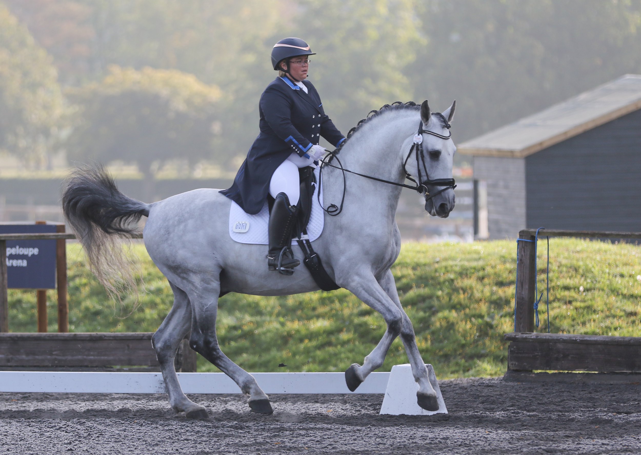 Equine Photographer Bournemouth Christchurch Poole Dorset-1407.jpg