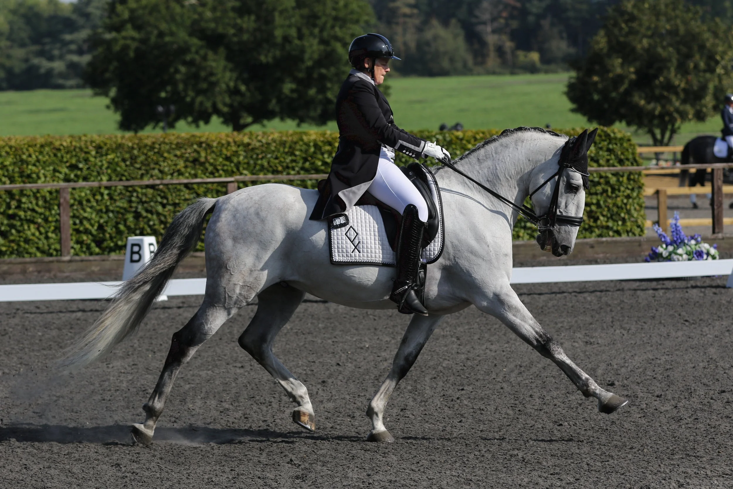 Equine Photographer Bournemouth Christchurch Poole Dorset-2537.jpg