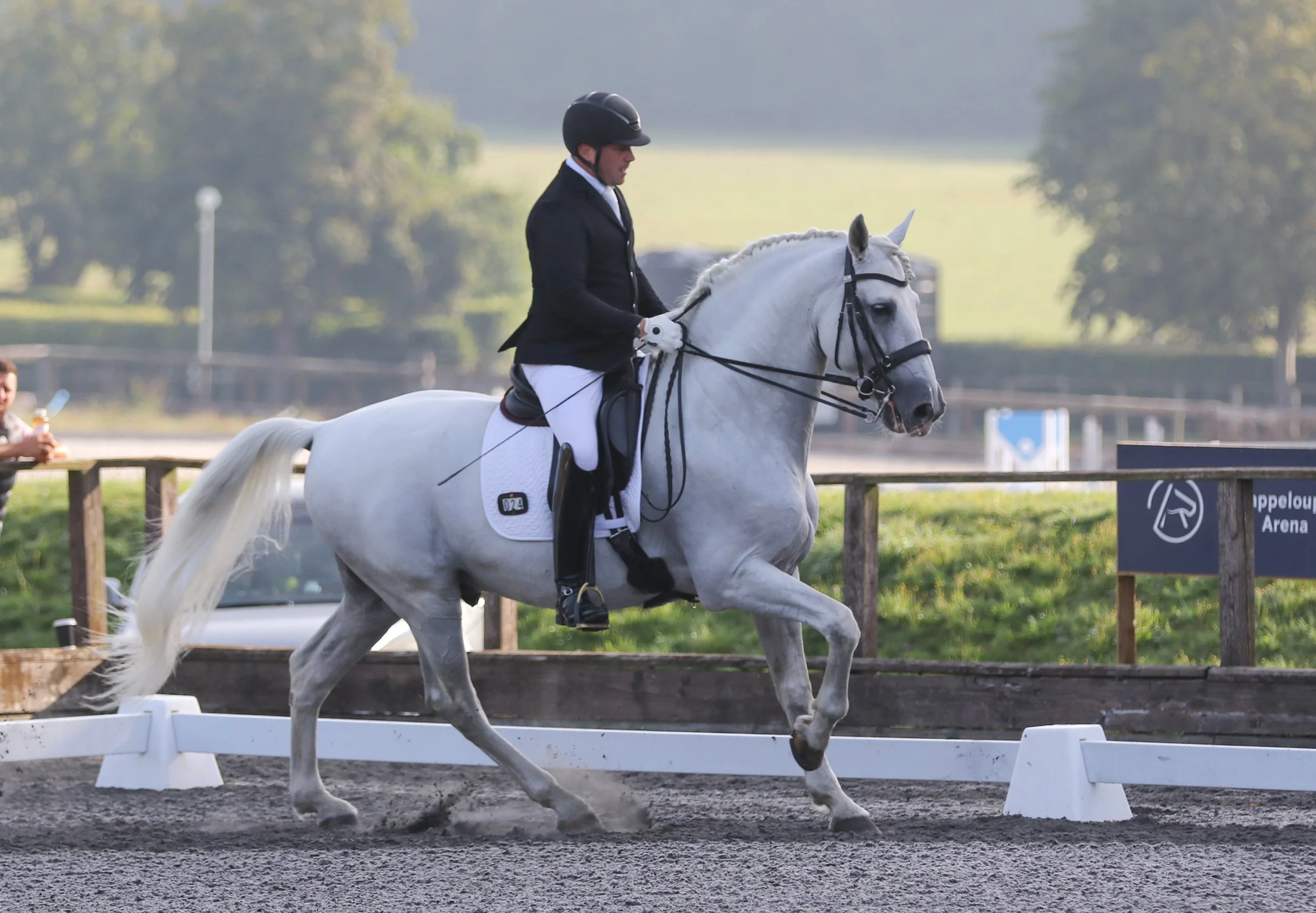 Equine Photographer Bournemouth Christchurch Poole Dorset-1629.jpg