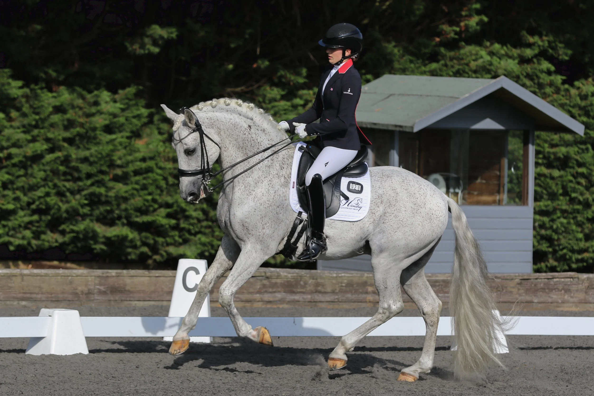 Equine Photographer Bournemouth Christchurch Poole Dorset-1847.jpg