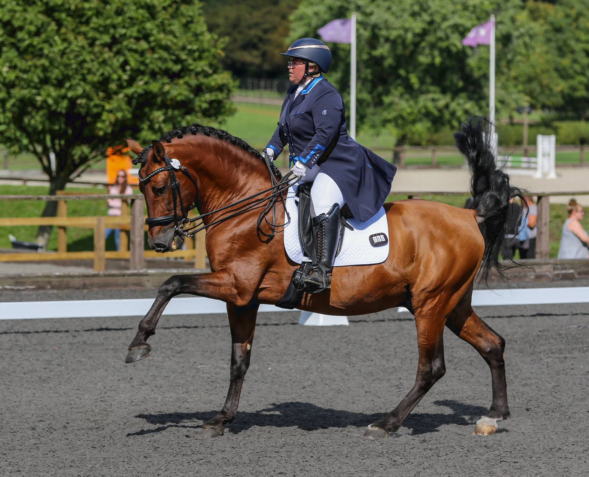 Equine Photographer Bournemouth Christchurch Poole Dorset-0574.jpg