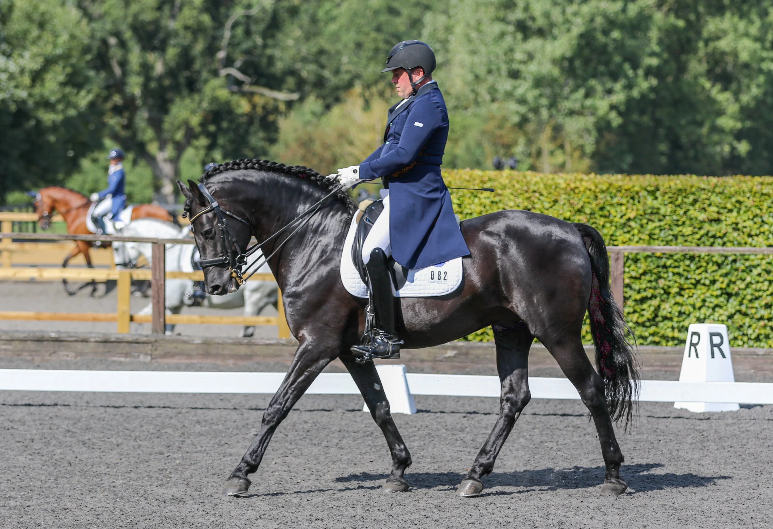 Equine Photographer Bournemouth Christchurch Poole Dorset-0020.jpg